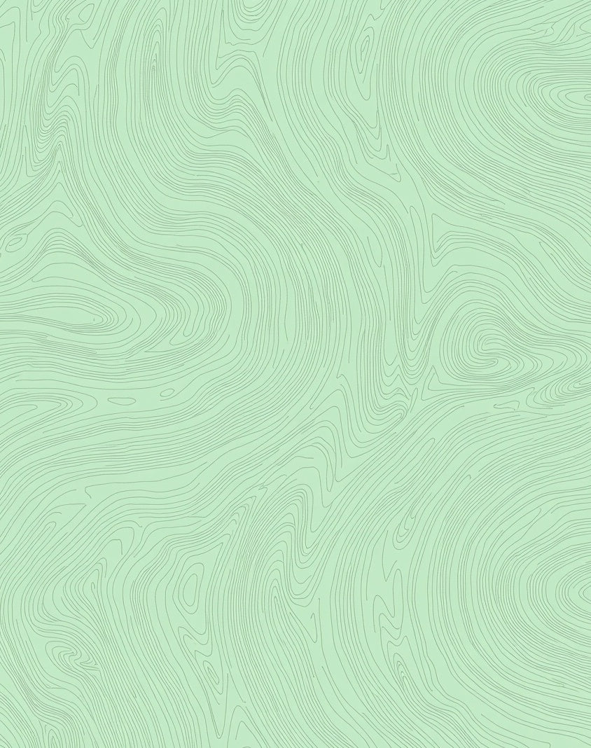 Mint Abstract Contour Pattern Rug