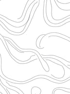 Abstract Flowing Line Art Rug