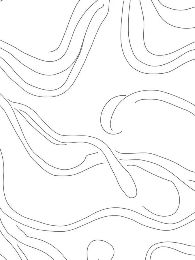 Abstract Flowing Line Art Rug