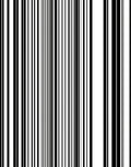 Bold Vertical Line Pattern Rug