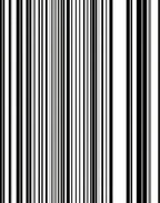 Bold Vertical Line Pattern Rug