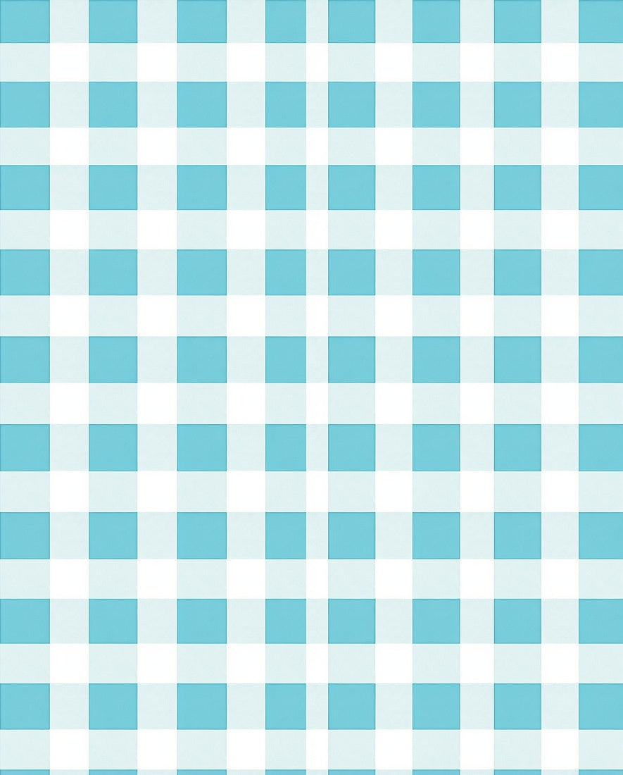 Classic Blue Gingham Checkared Pattern Rug