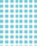 Classic Blue Gingham Checkared Pattern Rug