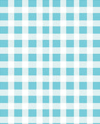 Classic Blue Gingham Checkared Pattern Rug