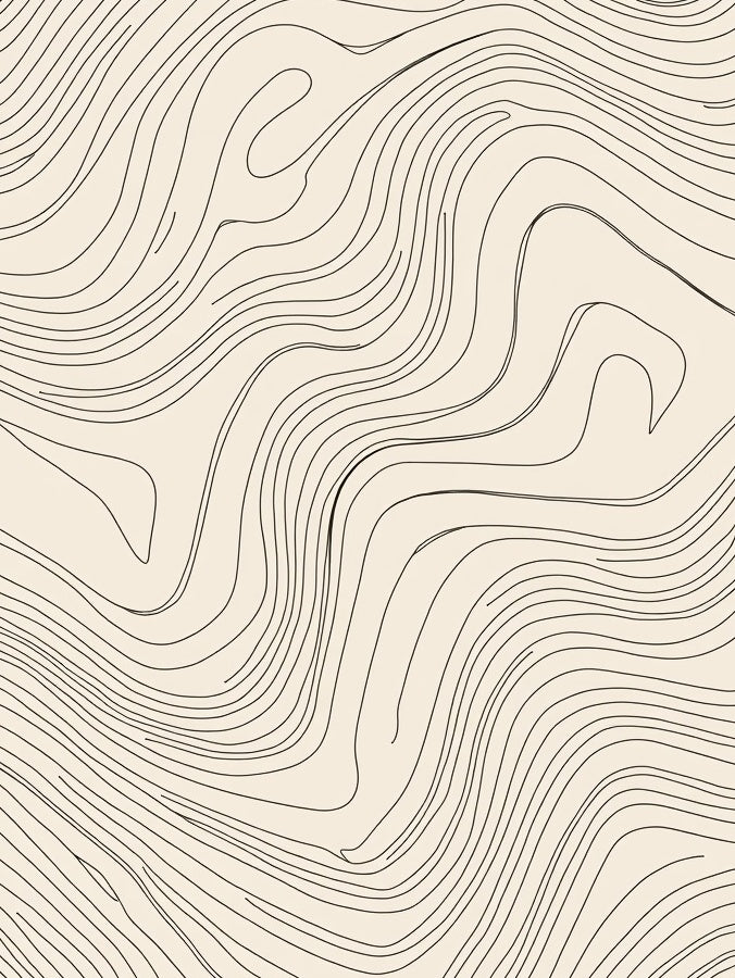 Abstract Contour Line Art Rug