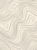 Abstract Contour Line Art Rug