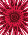 Radiant Sunburst Floral Pattern Rug