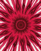 Radiant Sunburst Floral Pattern Rug