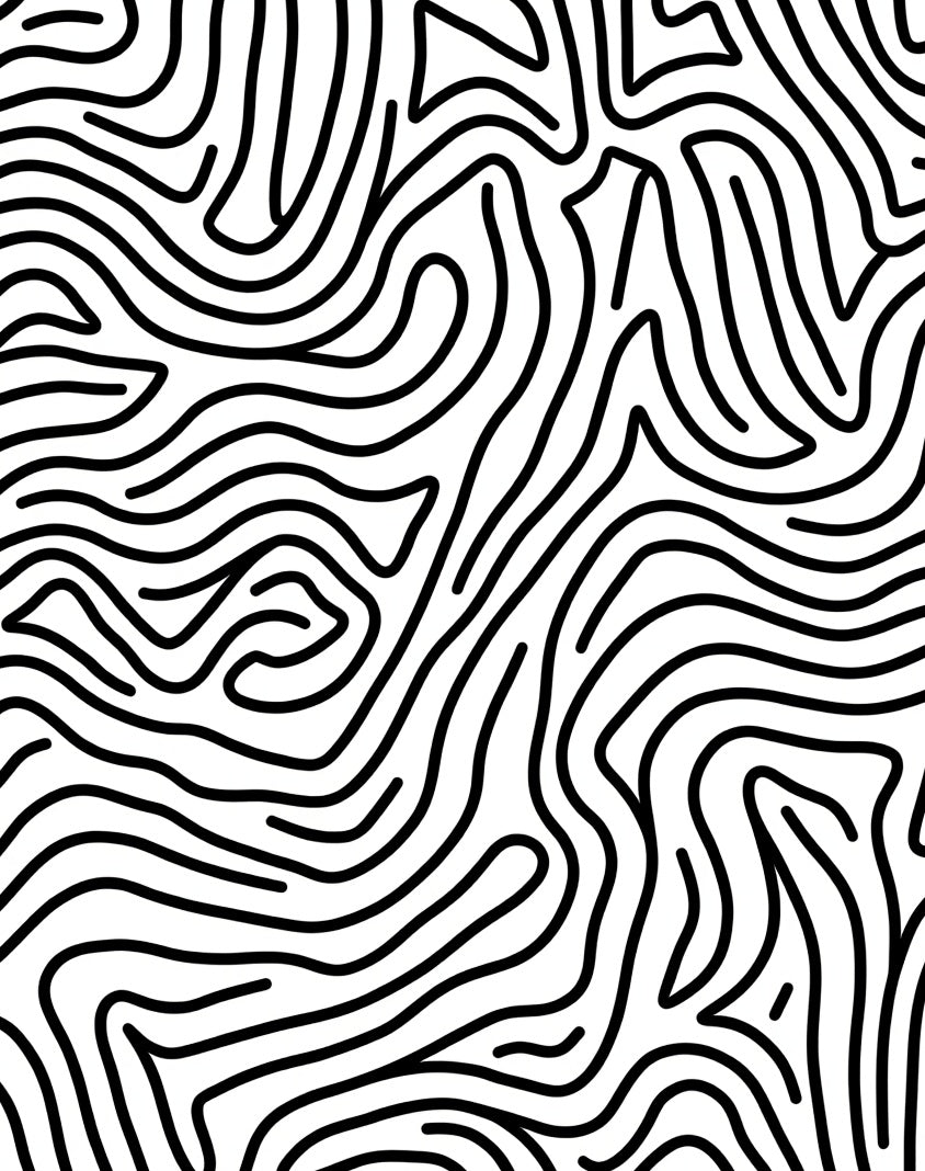 Bold Black White Contour Pattern Rug