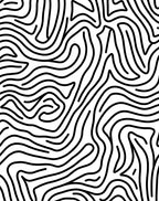Bold Black White Contour Pattern Rug
