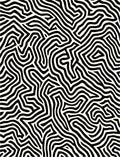 Bold Black White Abstract Terrain Rug