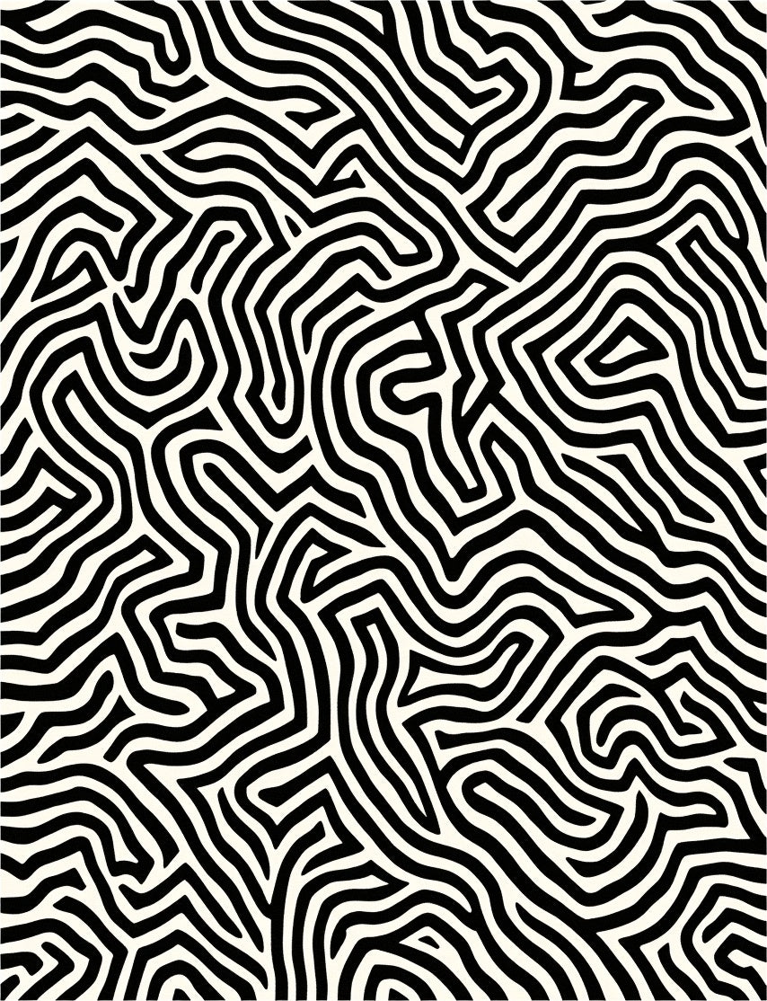 Bold Black White Abstract Terrain Rug