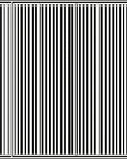 Bold Vertical Stripe Pattern Rug