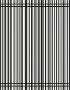 Minimalist Black 2 White Stripe Rug