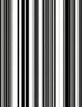 Minimalist Black White Stripe Pattern Rug