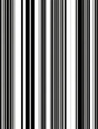 Minimalist Black White Stripe Pattern Rug
