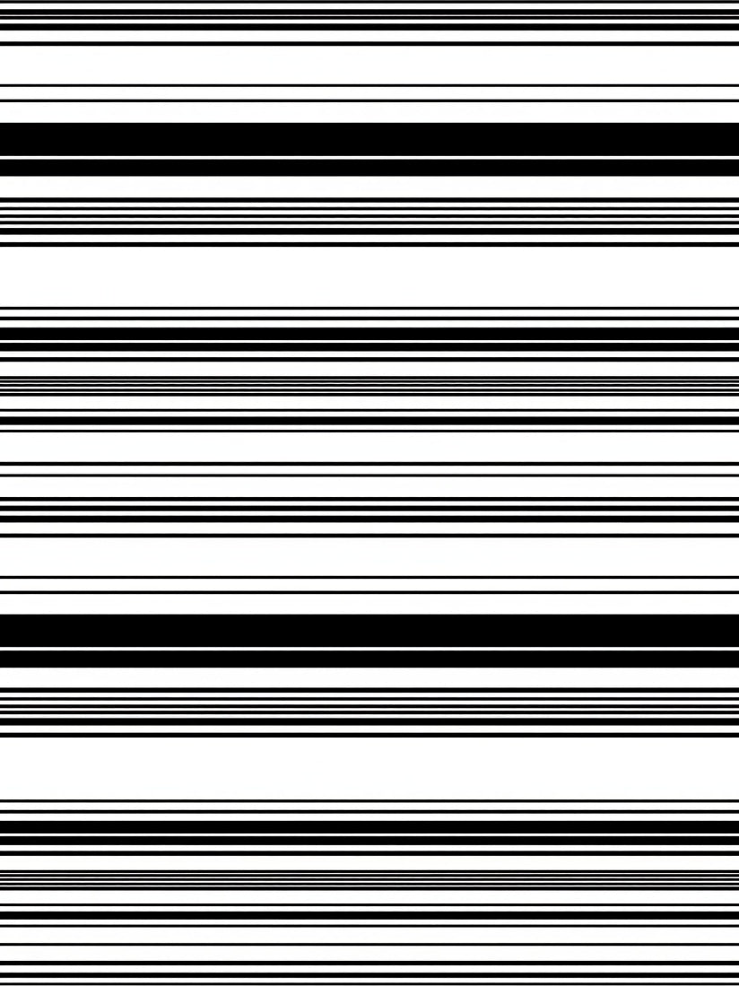 Bold Black White Striped Pattern Rug