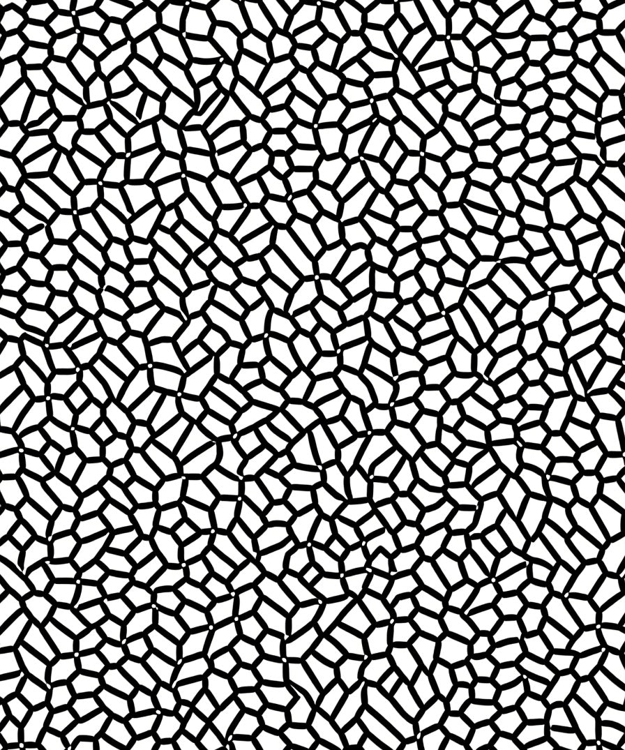 Abstract Organic Black White Pattern Rug