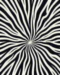 Bold 2 Tone Radial Stripe Rug