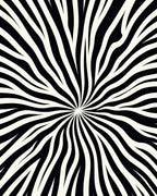 Bold 2 Tone Radial Stripe Rug