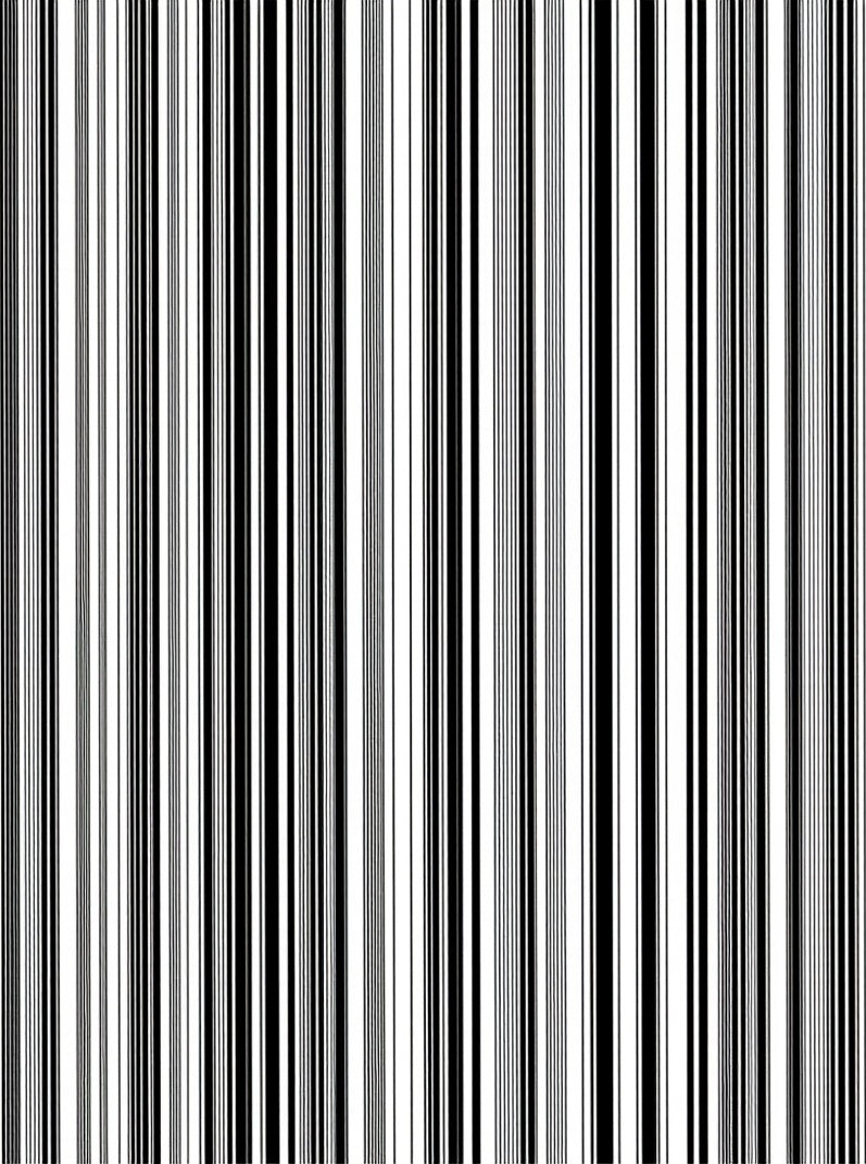Bold Stripe Patterned Design Rug