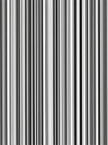 Bold Stripe Patterned Design Rug