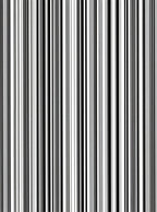 Bold Stripe Patterned Design Rug