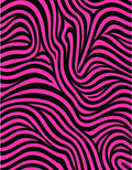 Hot Pink Black Zebra Stripe Rug