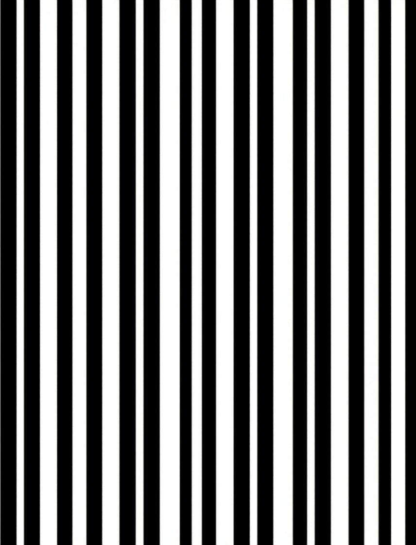 Bold Black White Stripe Pattern Rug