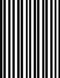 Bold Black White Stripe Pattern Rug