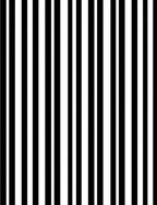 Bold Black White Stripe Pattern Rug