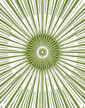 Radiant Green Burst Sunburst Rug