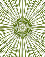 Radiant Green Burst Sunburst Rug