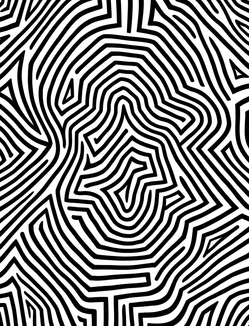 Bold Black White Abstract Maze Rug
