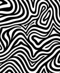 Bold Black White Animal Print Rug