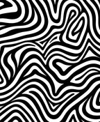 Bold Black White Animal Print Rug