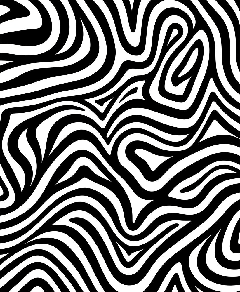 Bold Black White Animal Print Rug