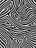 Bold Black White Animal Print Rug