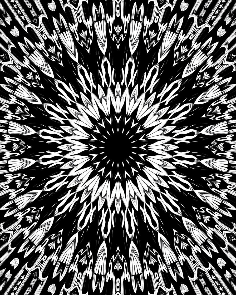 Bold Black White Radial Pattern Rug