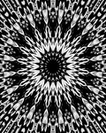 Bold Black White Radial Pattern Rug
