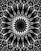 Bold Black White Radial Pattern Rug