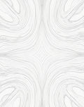 Abstract Swirl Monochrome Dynamic Lines Rug