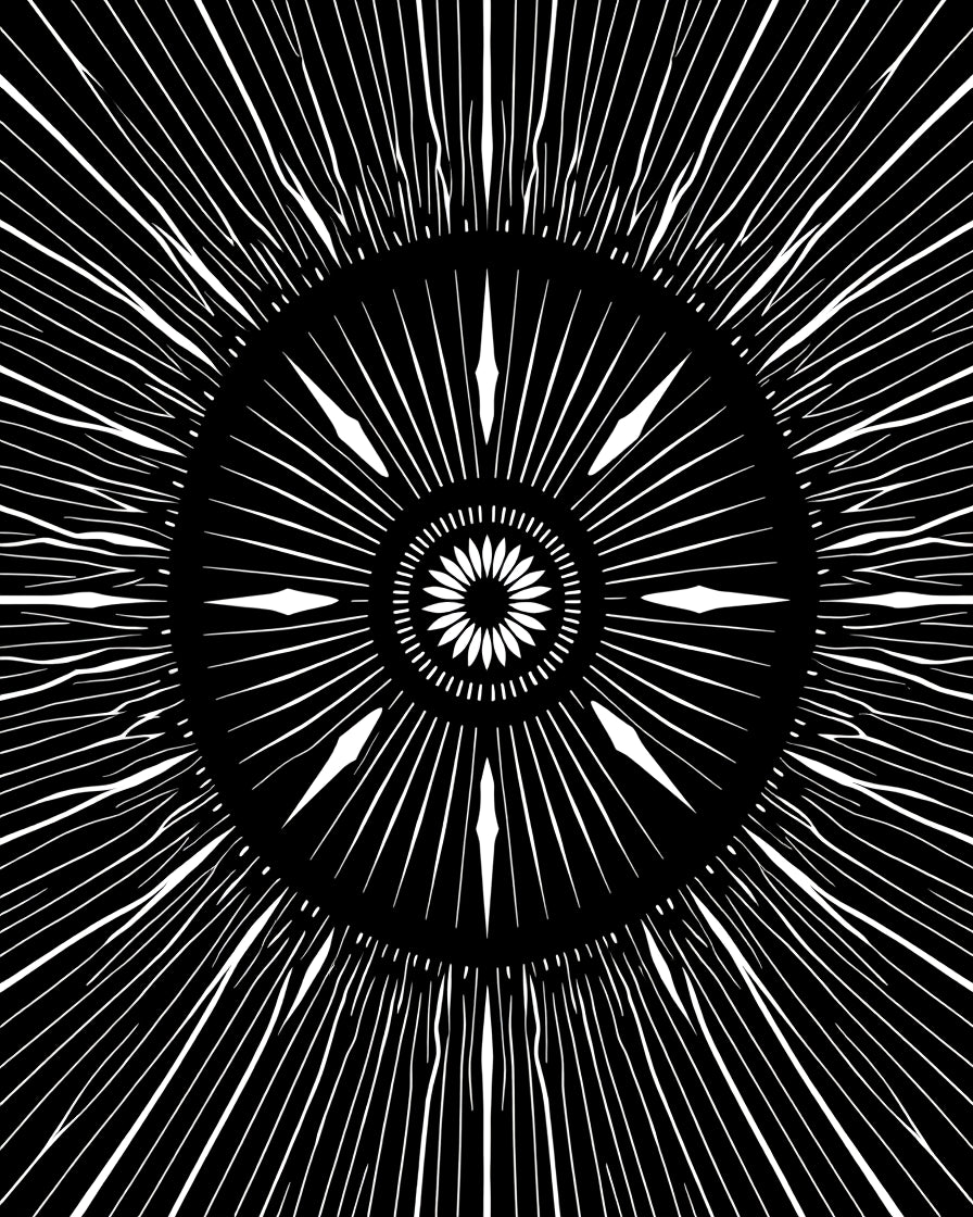 Black White Radial Burst Sunburst Rug