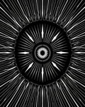 Black White Radial Burst Sunburst Rug