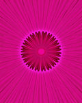 Radiant Pink Petal Starburst Design Rug