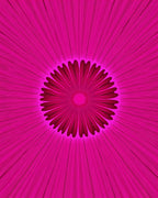 Radiant Pink Petal Starburst Design Rug