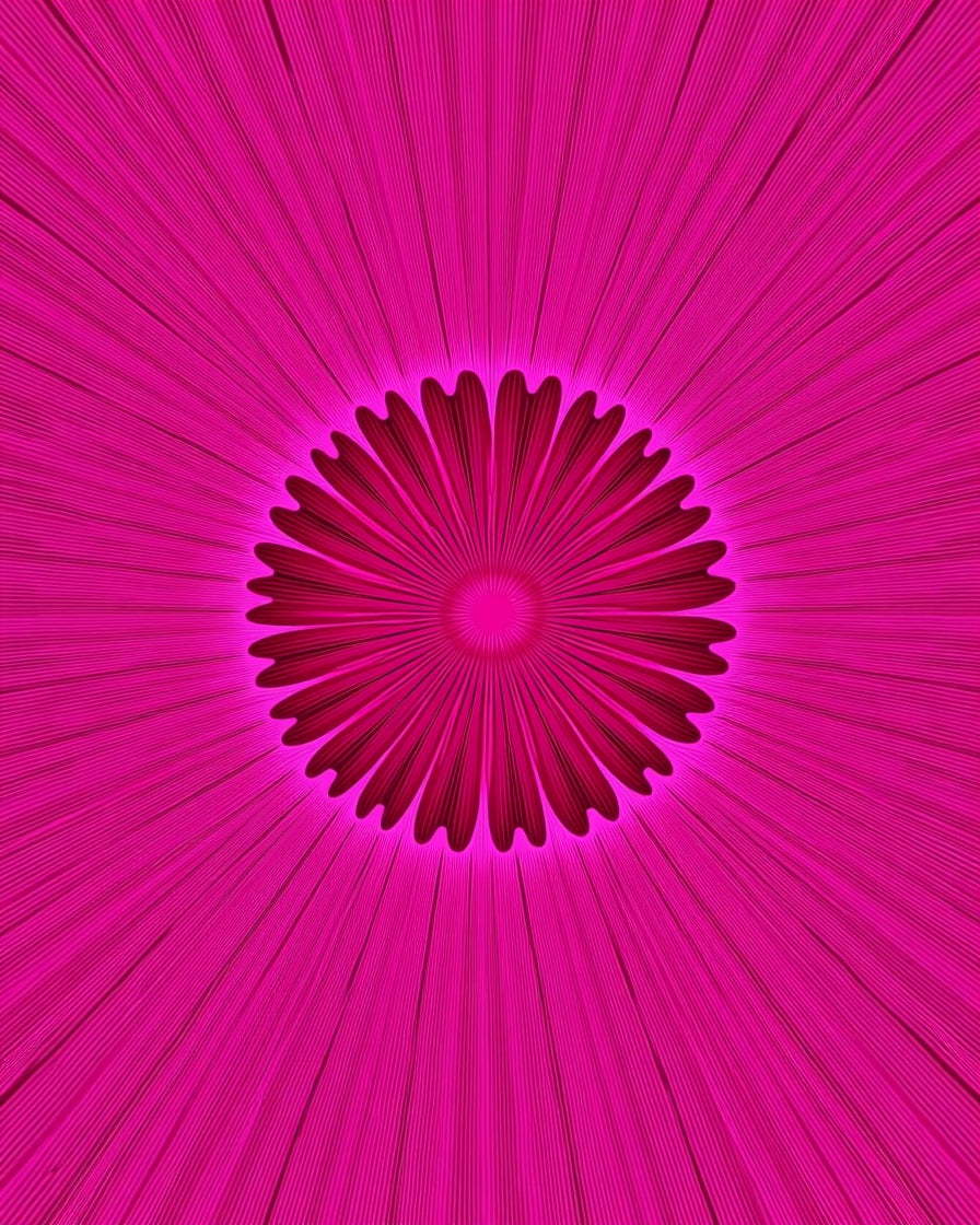 Radiant Pink Petal Starburst Design Rug