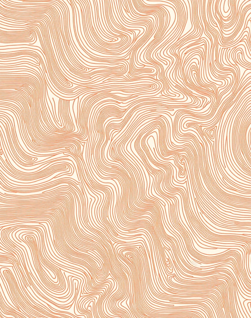 Coral Wavy Lines Contour Pattern Rug