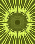 Radial Green Geometric Burst Rug