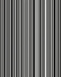 Bold Vertical Striped Design Rug